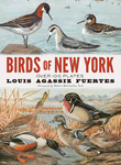 Birds of New York