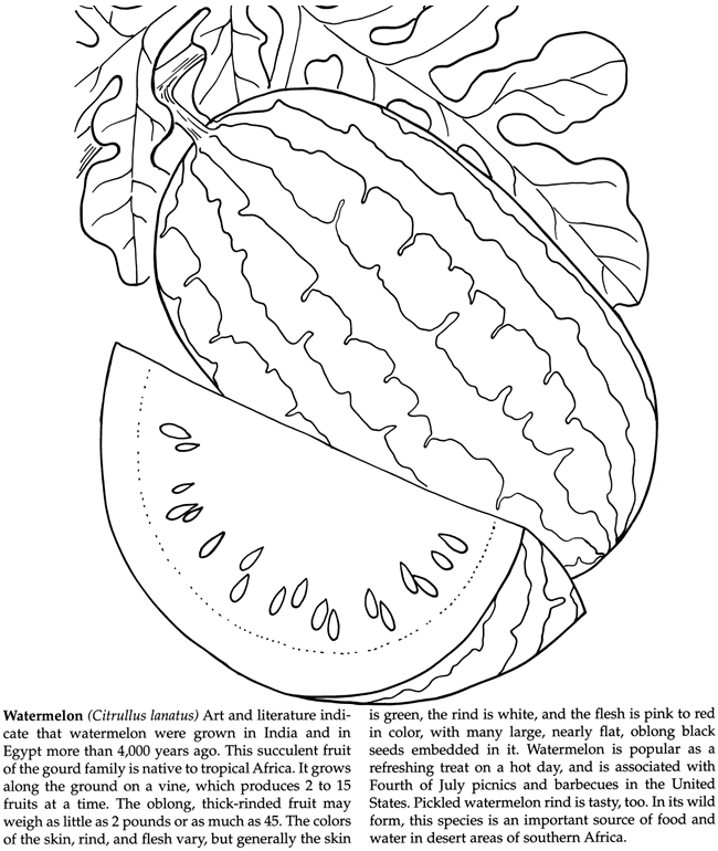 Welcome to Dover Publications