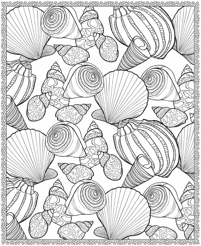 coloring pages of seashells