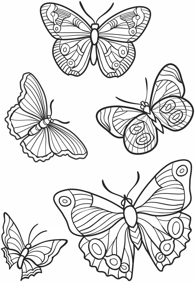 Welcome to Dover Publications