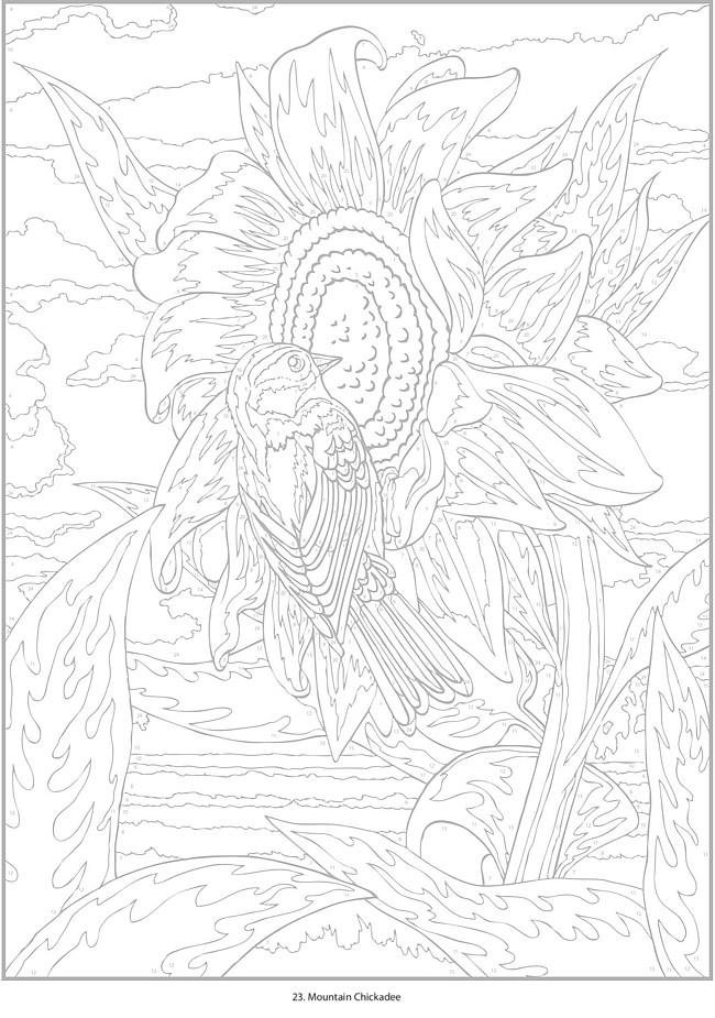 Beautiful Bird Color by number adult coloring book: Coloring Book